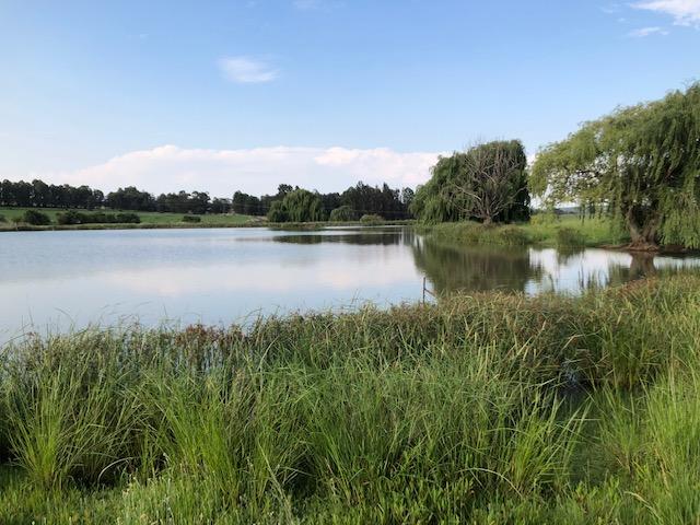 0 Bedroom Property for Sale in Bethlehem Rural Free State